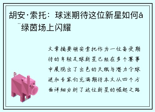 胡安·索托：球迷期待这位新星如何在绿茵场上闪耀